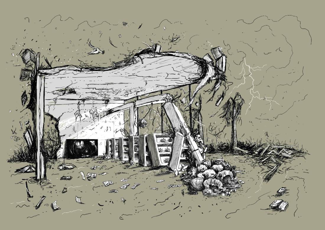 Coelacanthes - version 201714